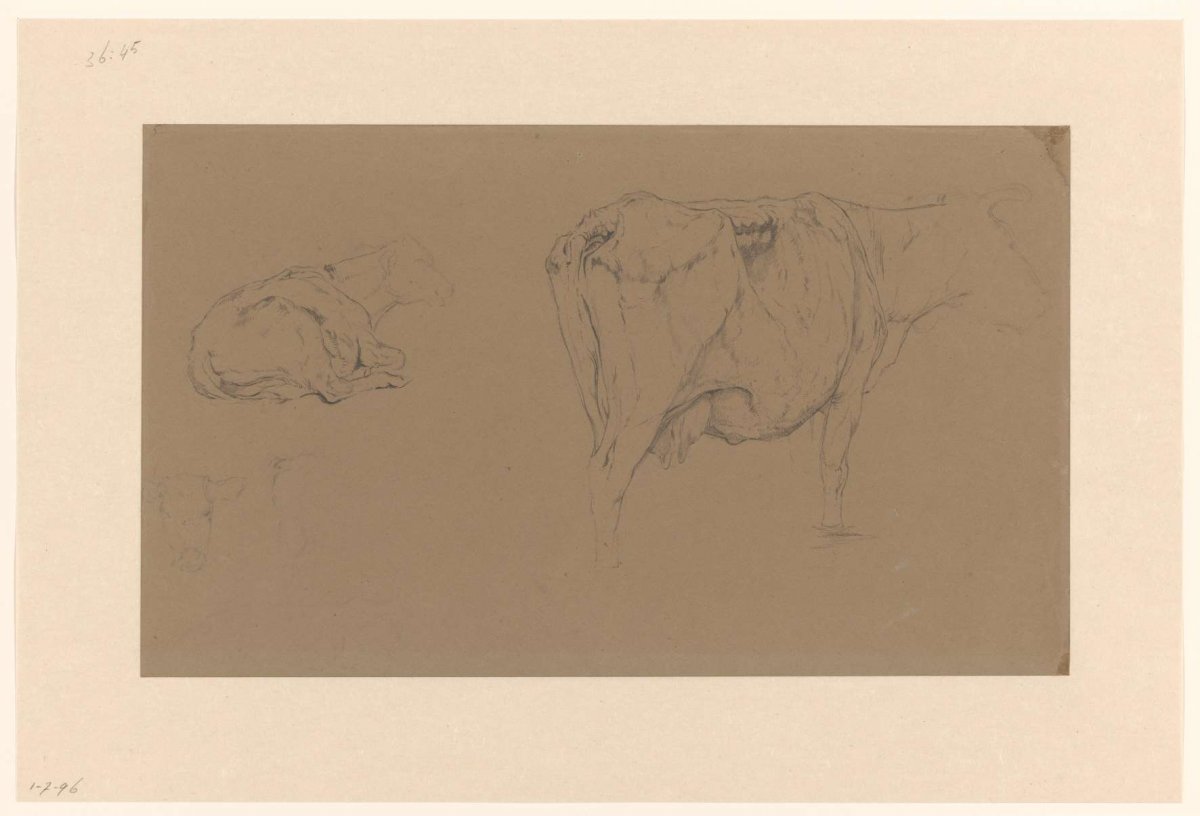 Sketch sheet with studies of cows, Gerard Bilders, 1848 - 1865