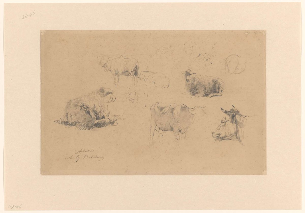 Sketch sheet with studies of sheep and cows, Gerard Bilders, 1848 - 1865