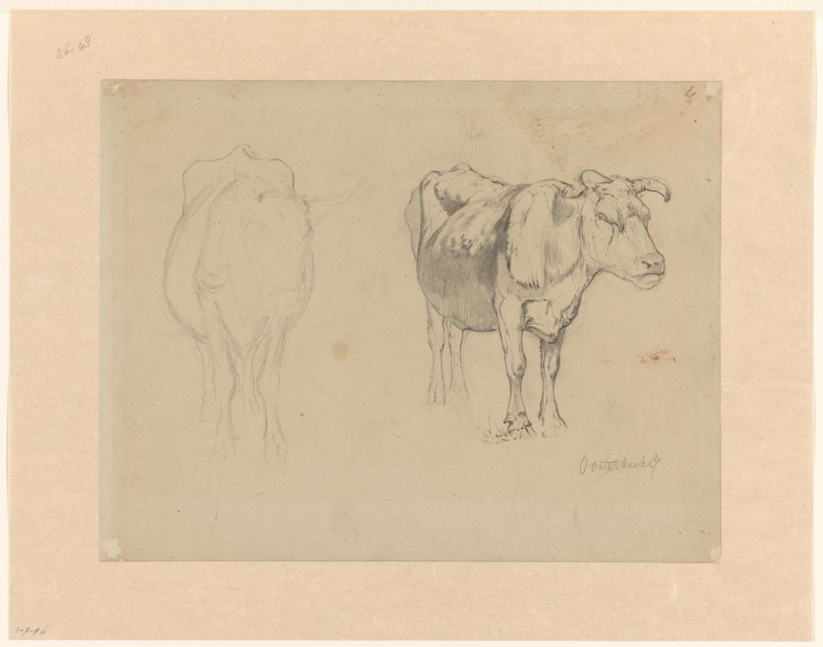 Sketch sheet with two studies of cows, Gerard Bilders, 1857