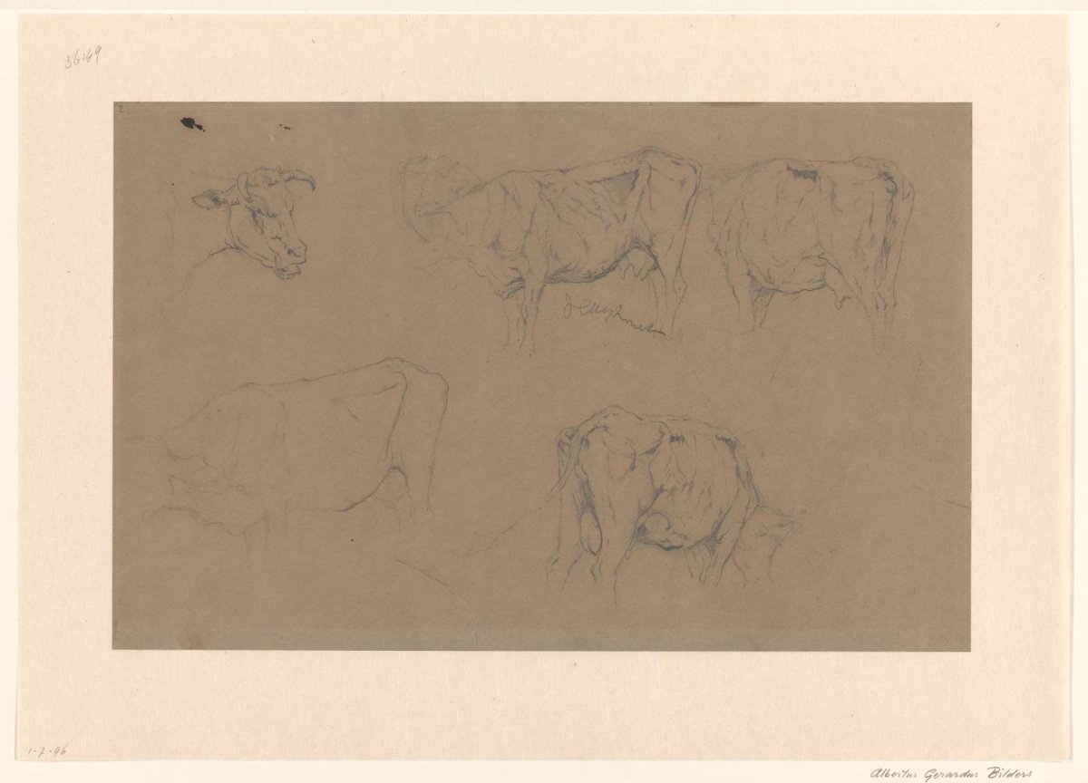 Sketch sheet with studies of cows, Gerard Bilders, 1848 - 1865