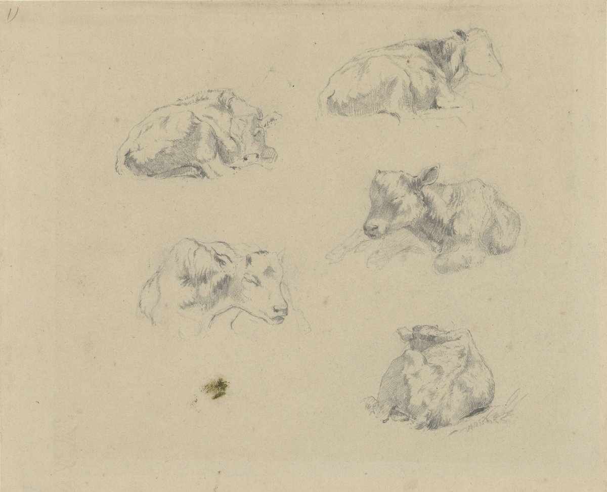 Studies of cows, Gerard Bilders, 1848 - 1865