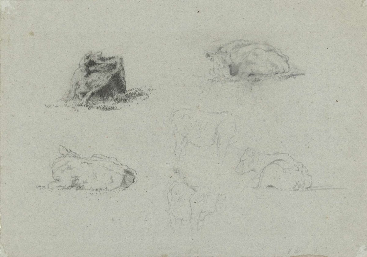 Studies of cows, Gerard Bilders, 1848 - 1865