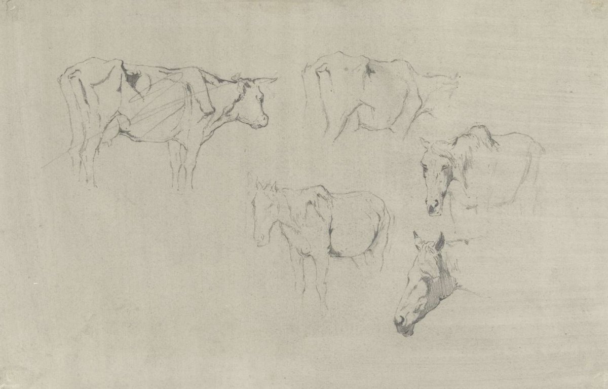 Two studies of a cow and three of a horse, Gerard Bilders, 1848 - 1865