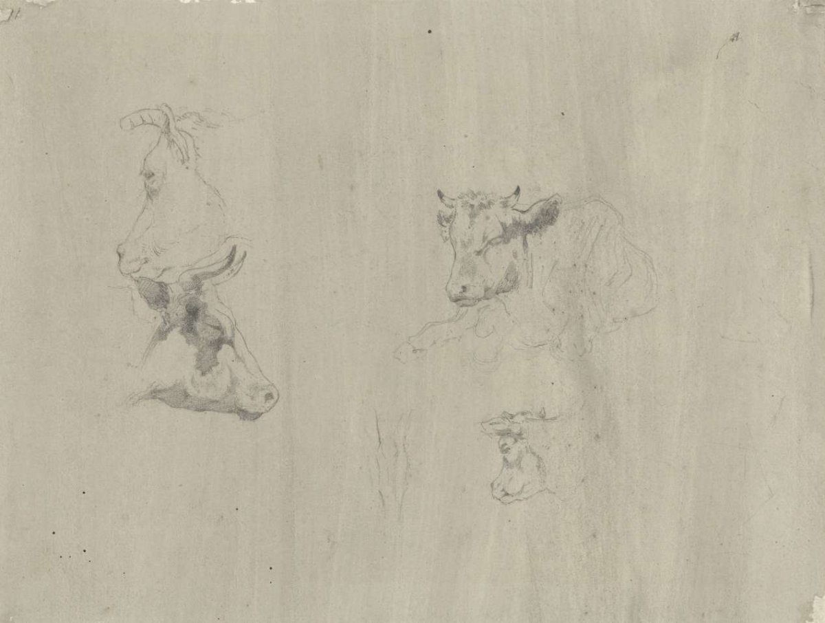 Studies of cows, Gerard Bilders, 1848 - 1865