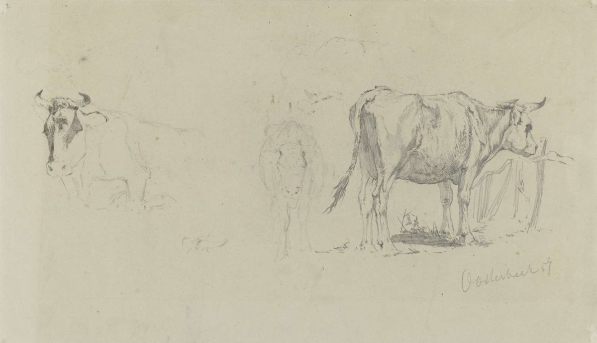 Studies of cows, Gerard Bilders, 1857