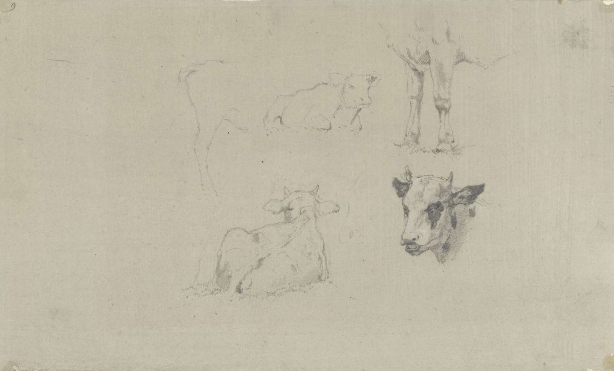 Studies of cows, Gerard Bilders, 1848 - 1865