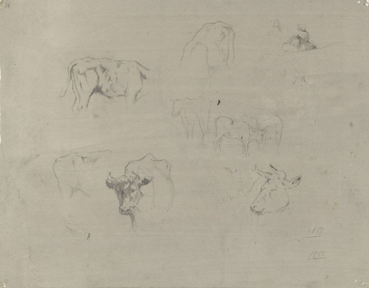 Studies of cows, Gerard Bilders, 1855