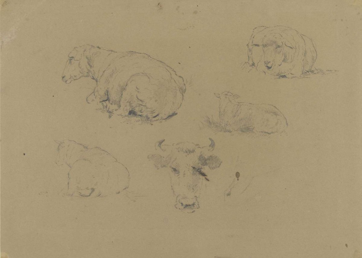 Four studies of a sheep and one of a cow, Gerard Bilders, 1848 - 1865