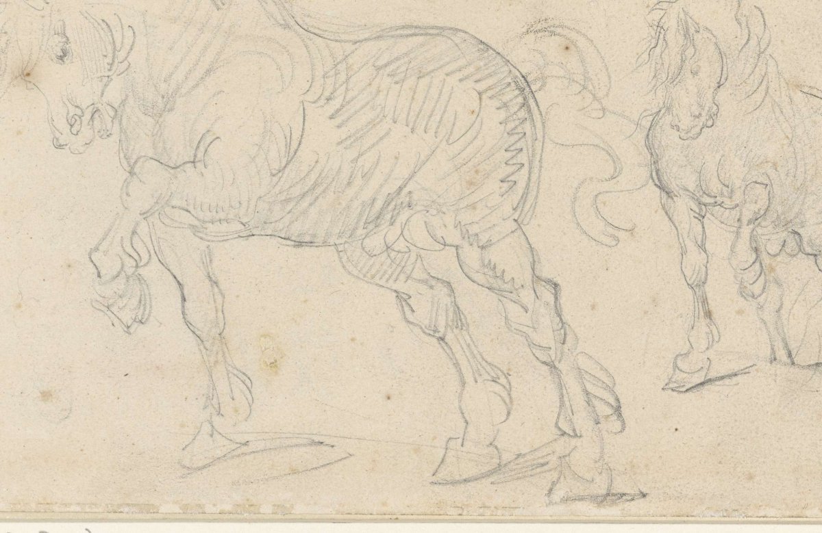 Paardenstudies, Théodore Géricault, 1801 - 1824