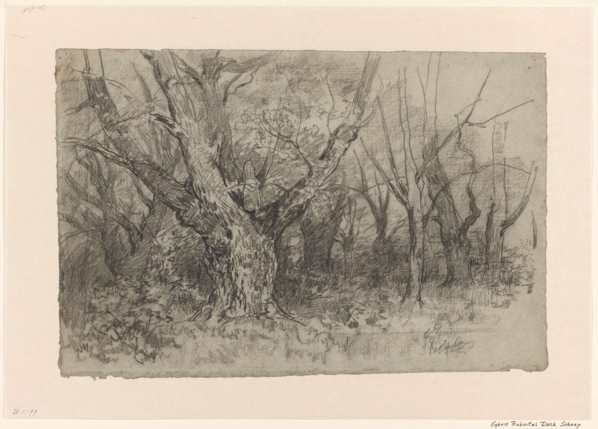 Boslandschap, Egbert Rubertus Derk Schaap, 1872 - 1939