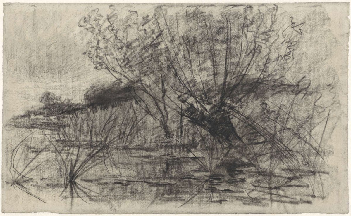 Pollard willow by the water, Egbert Rubertus Derk Schaap, 1872 - 1939