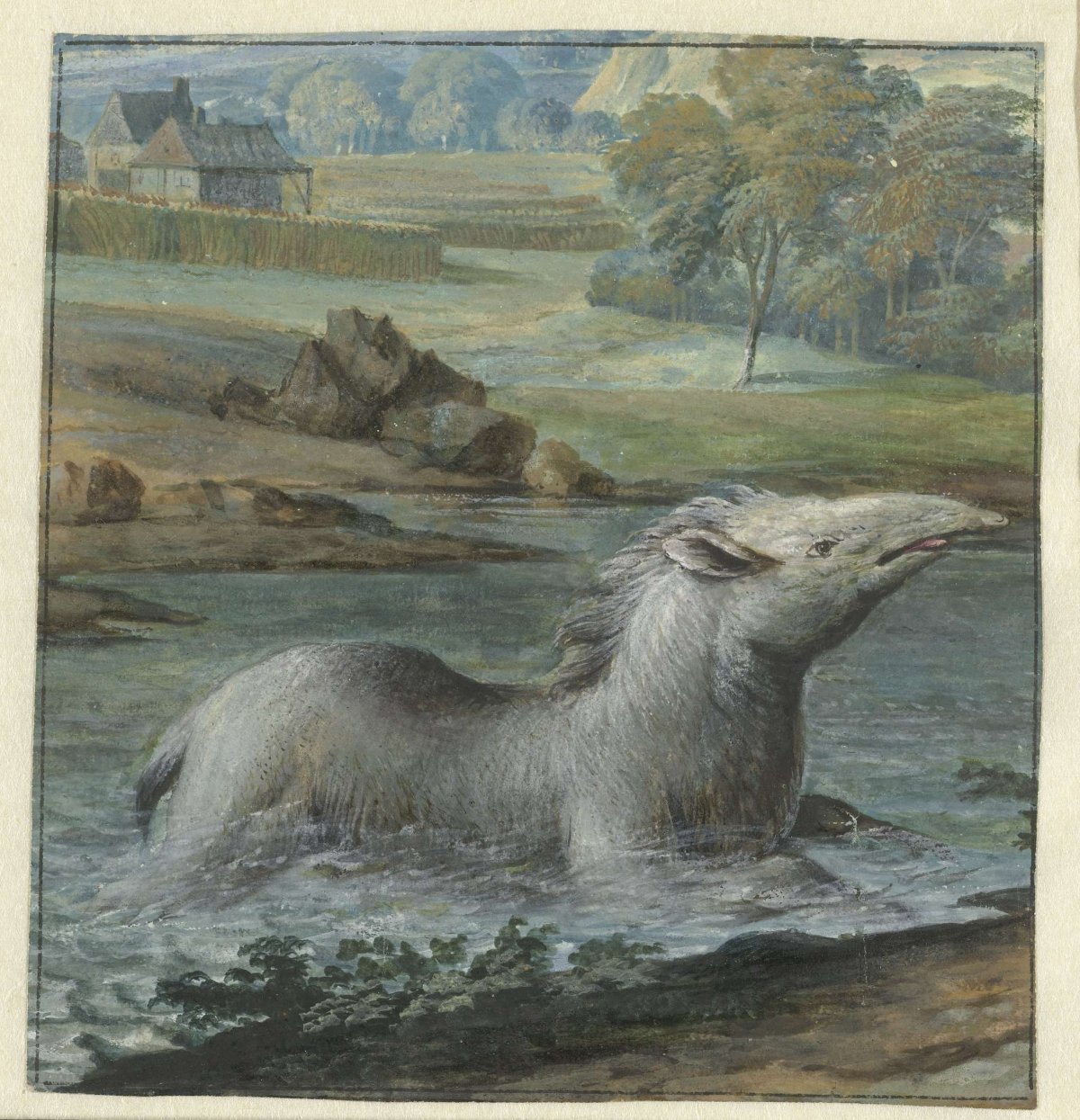 Tapir in the Water, Willem Hendrik Wilhelmus van Royen, 1706