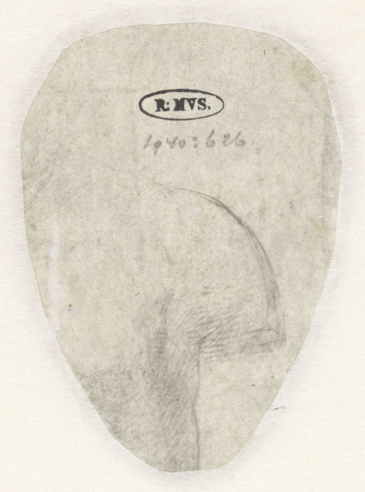 Sketch of a shoulder, Giulio Romano, 1510 - 1546