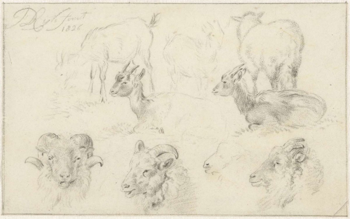 Studies of sheep and goats, James de Rijk, 1826