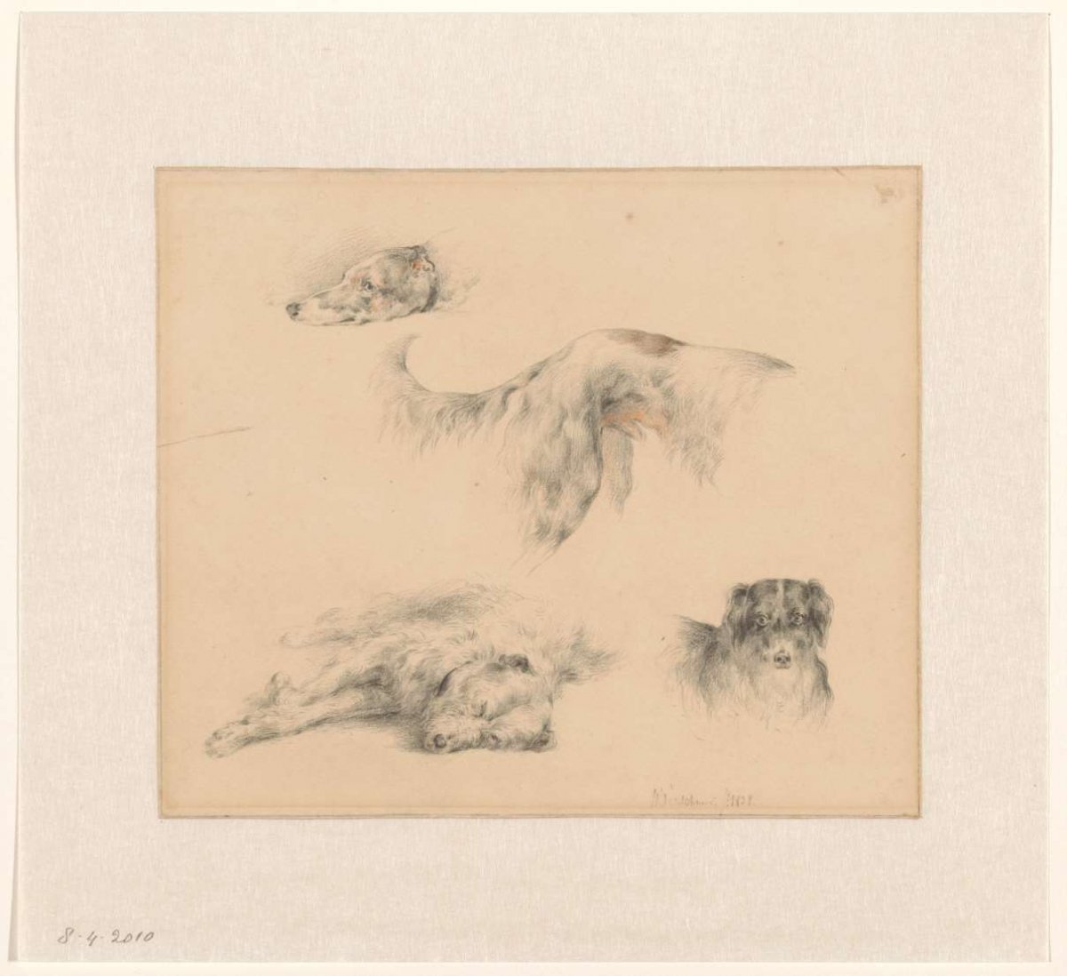 Various studies of dogs, Wouter Verschuur (1812-1874), 1838