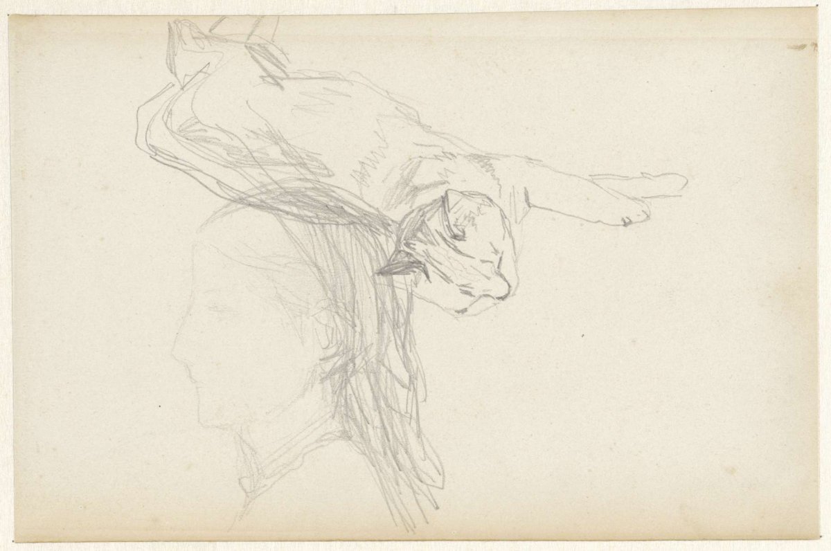 Study of a reclining cat and a girl's head, Matthijs Maris, 1849 - 1917