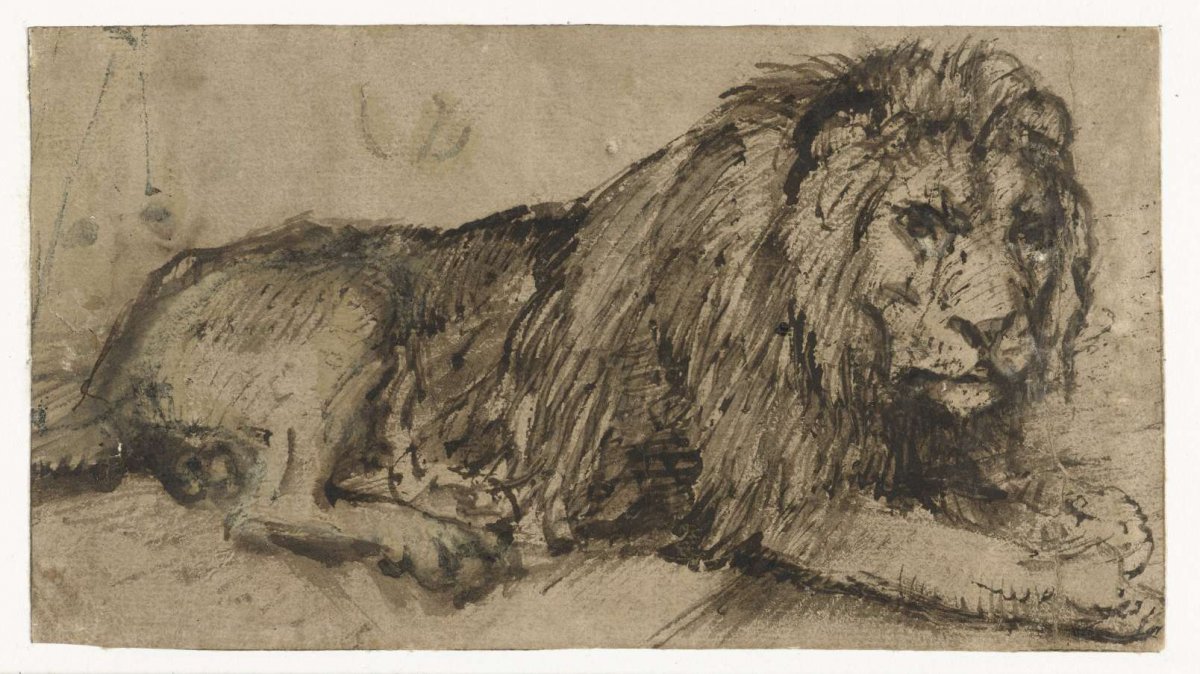 Reclining Lion, Rembrandt van Rijn, c. 1660