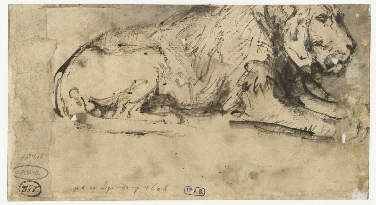 Reclining Lion, Rembrandt van Rijn, c. 1660