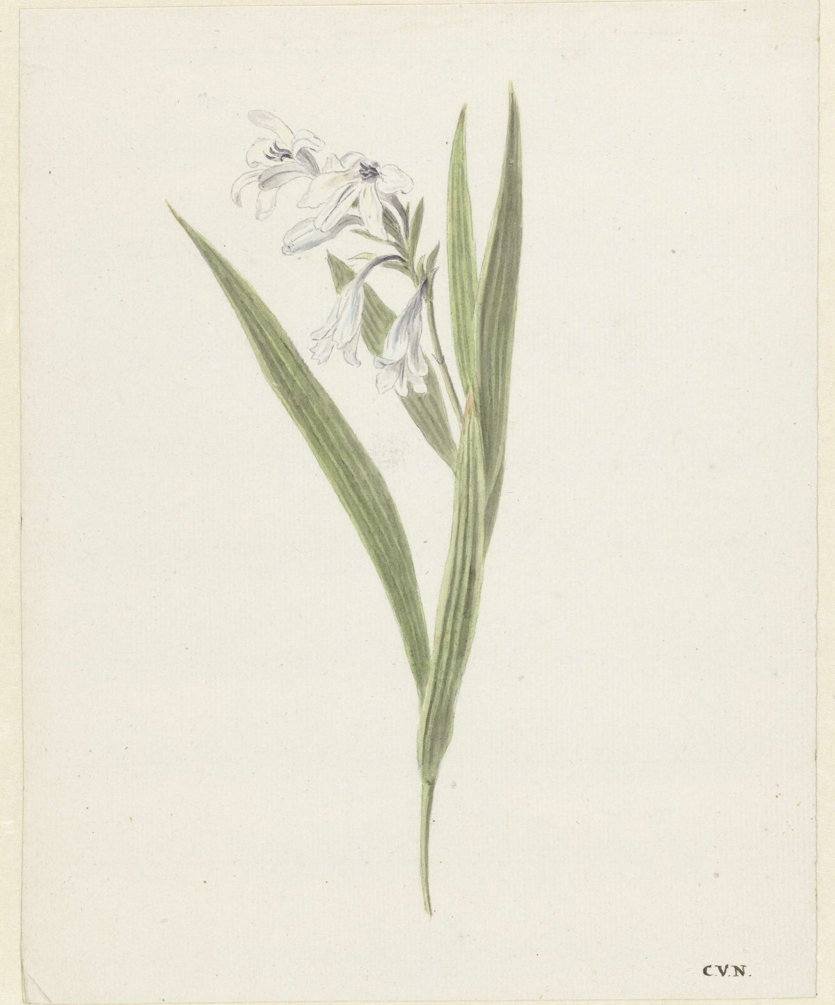 Fresia, Cornelis van Noorde, 1741 - 1795