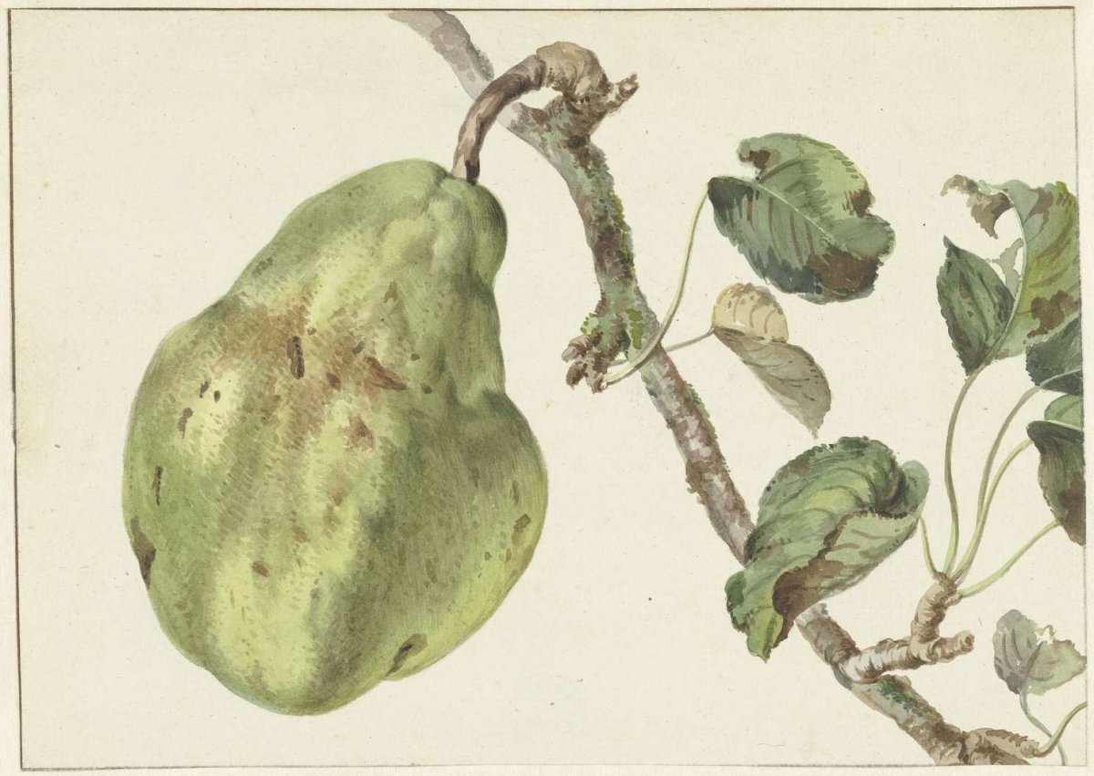 Pear on a branch, Pieter Gevers, 1781