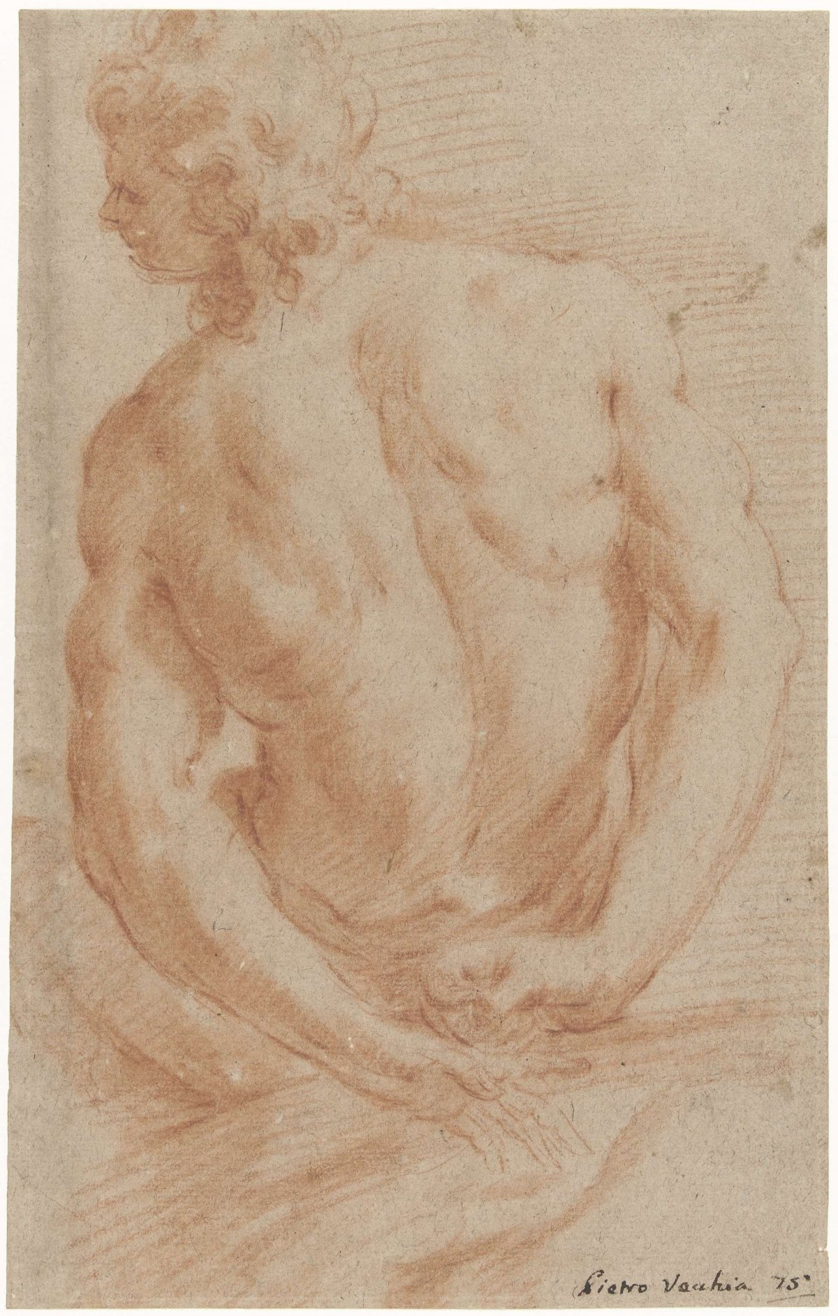 Study of a male nude, Pietro della Vecchia, 1643 - 1663