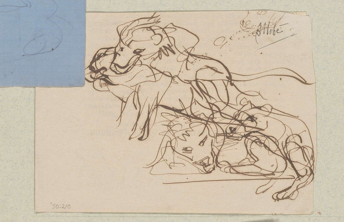 Sketch sheet with study of fighting lions, August Allebé, 1848 - 1927