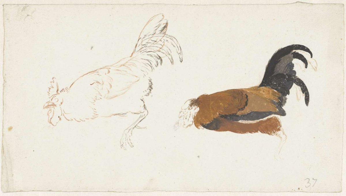 Two studies of a dead rooster, Aert Schouman, 1720 - 1792