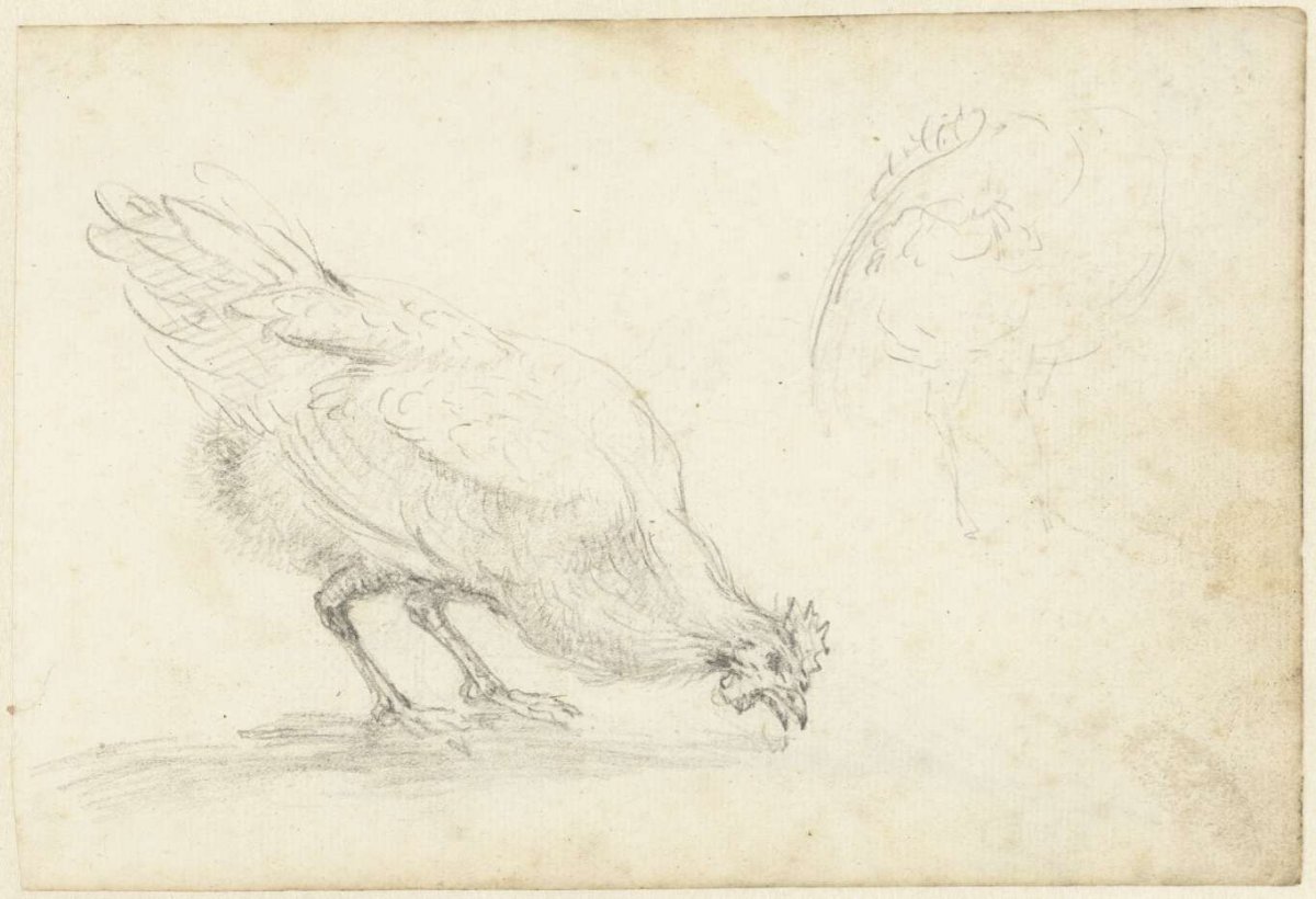 Study sheet with chickens and a peacock, Aert Schouman, 1720 - 1792