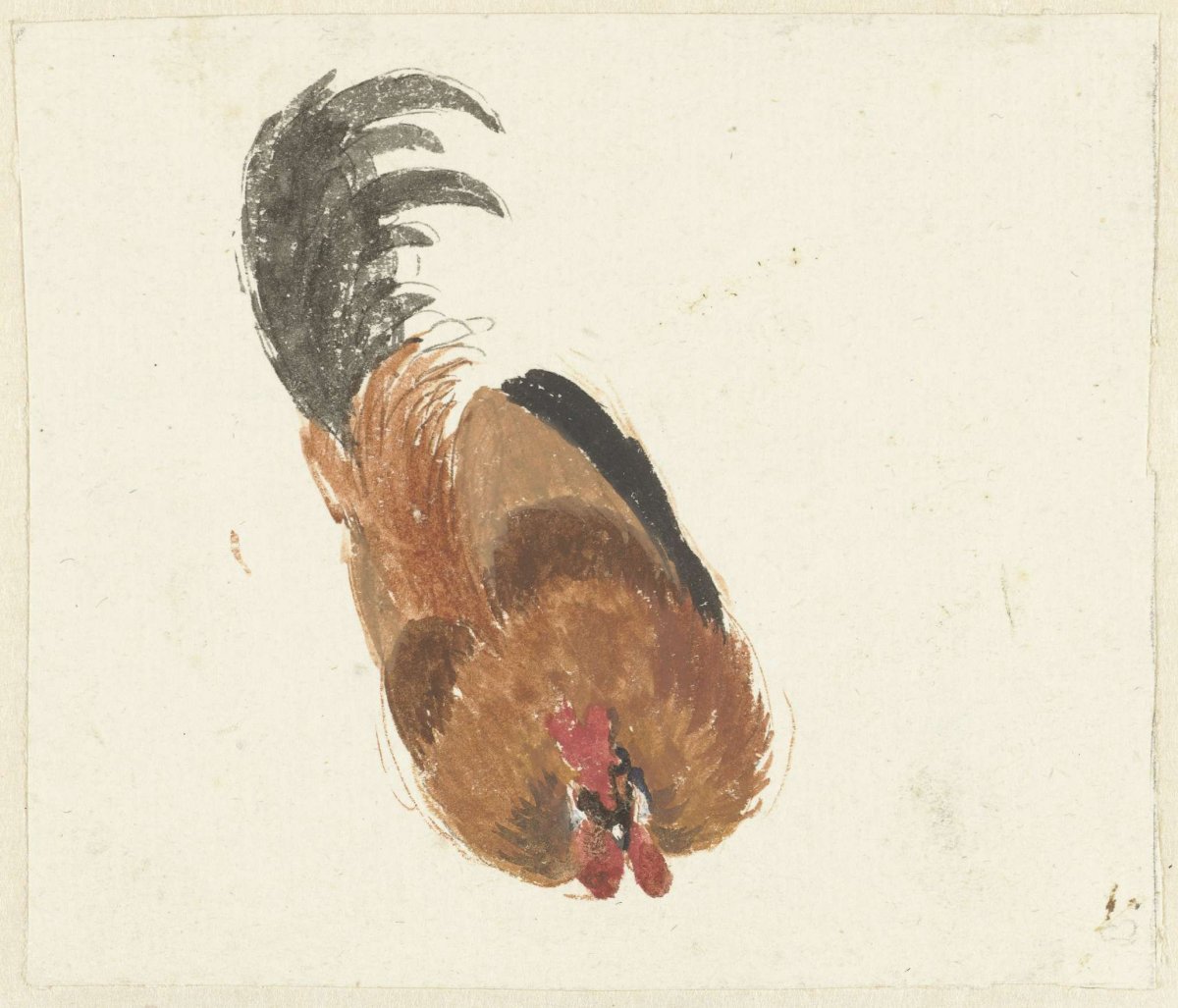 Study of a dead rooster, Aert Schouman, 1720 - 1792