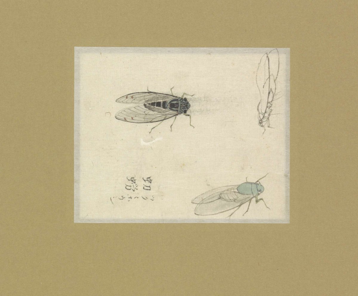 Three studies of flies, Nonoyama Kozan, 1790 - 1847