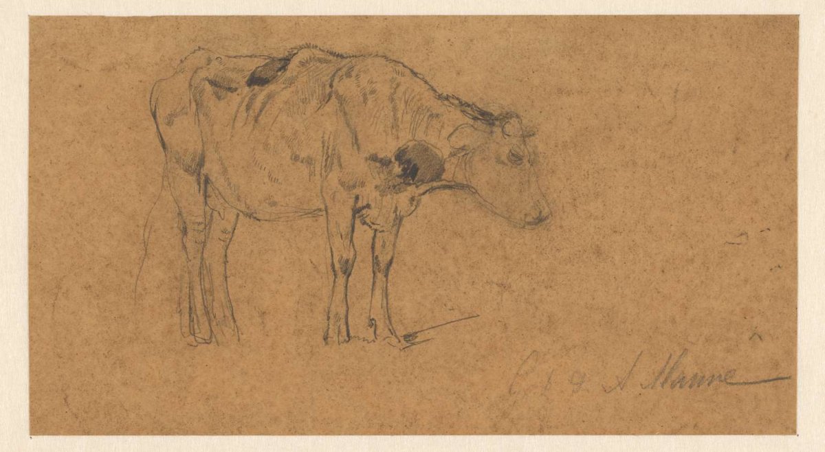 Standing cow, to the right, Anton Mauve, 1848 - 1888