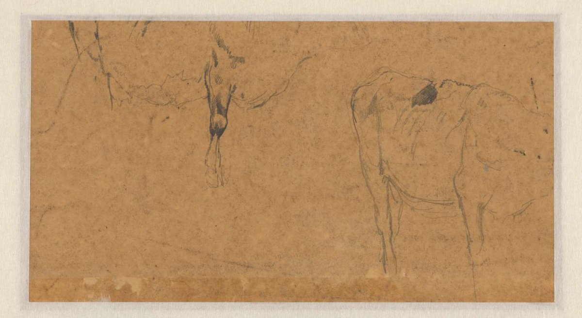 Two sketches of cows, Anton Mauve, 1848 - 1888