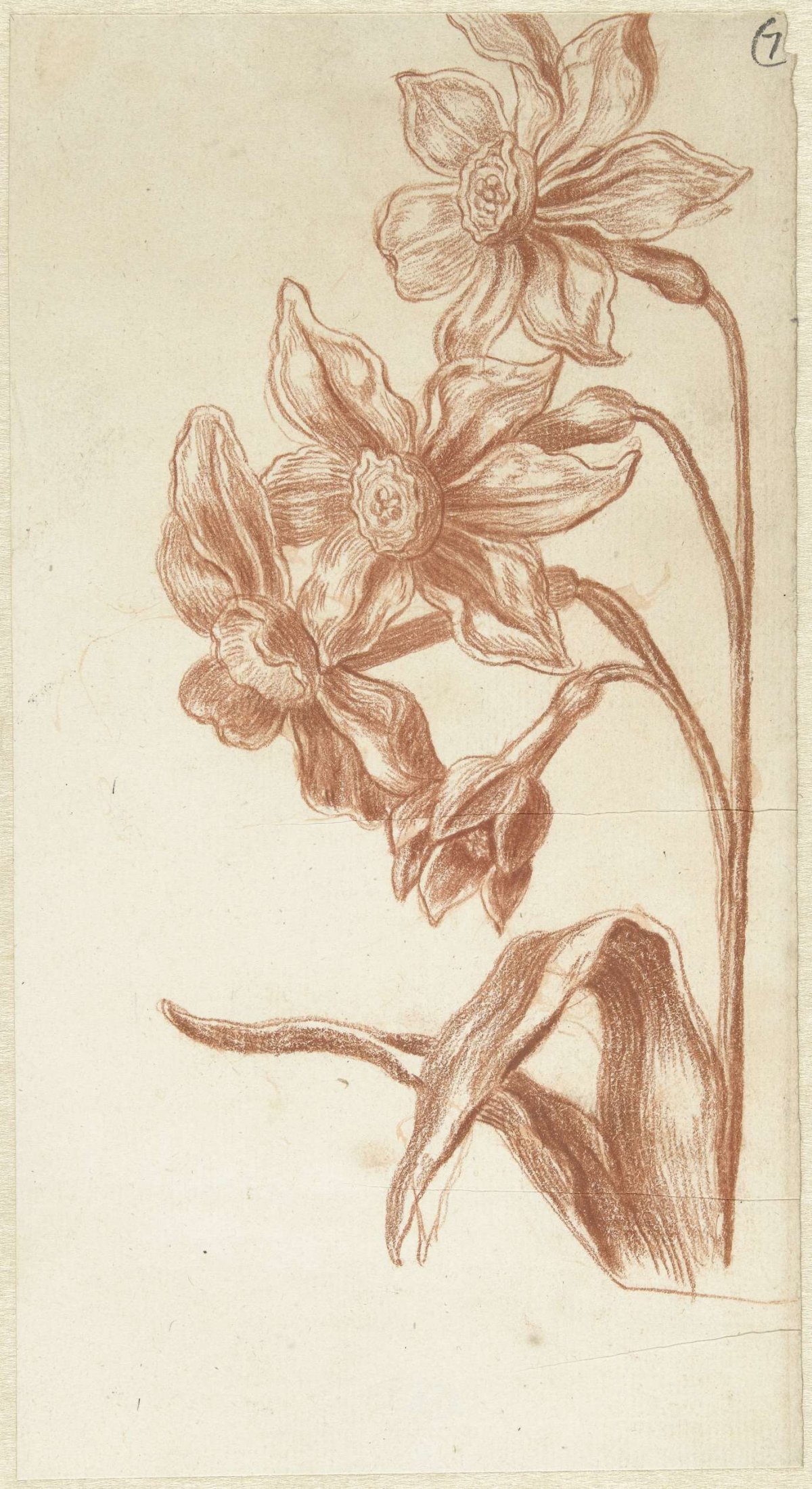 Narcissen, Bernard Picart, 1683 - 1733