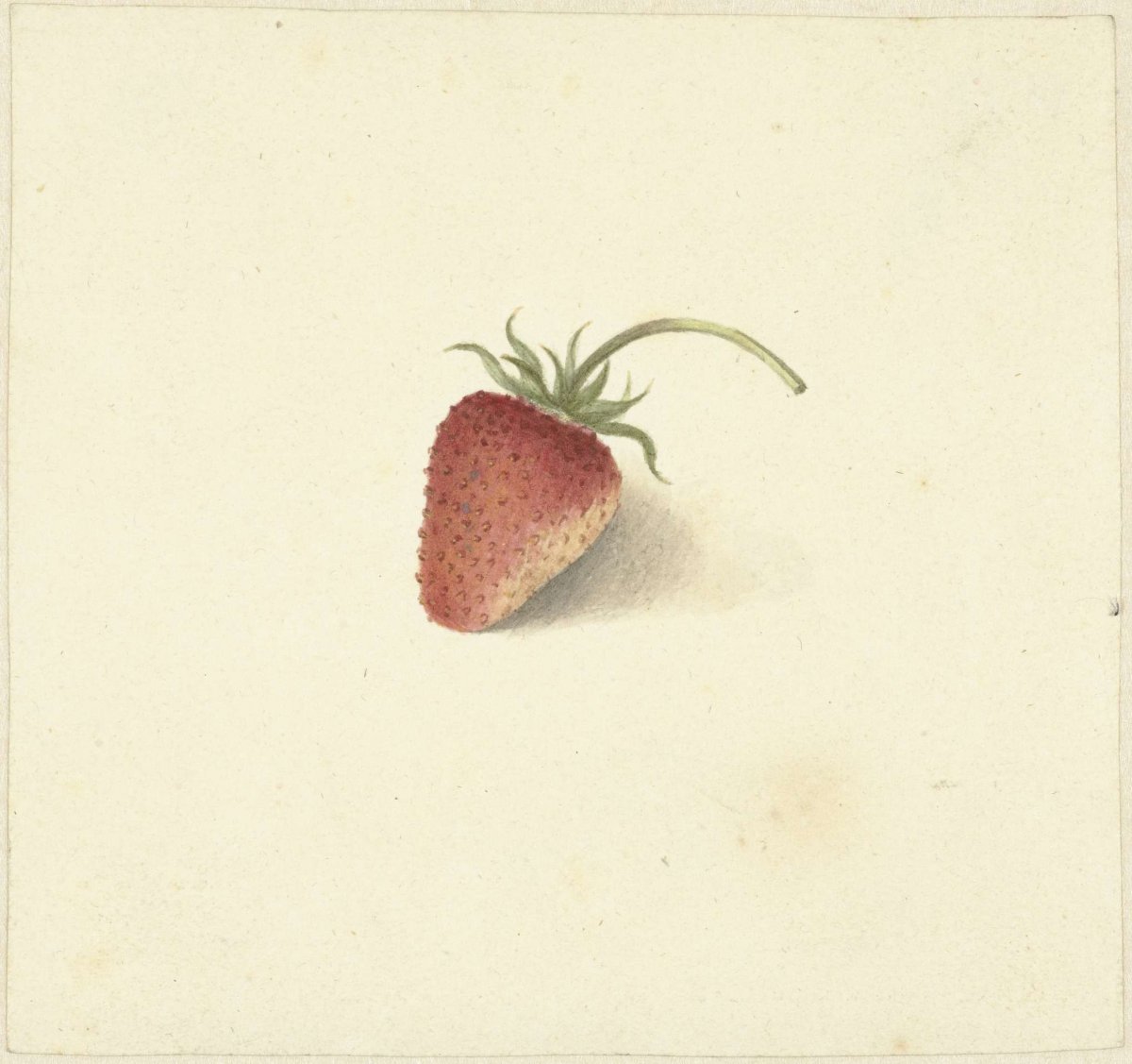 Aardbei, Elisabeth Geertruida van de Kasteele, 1818 - 1853