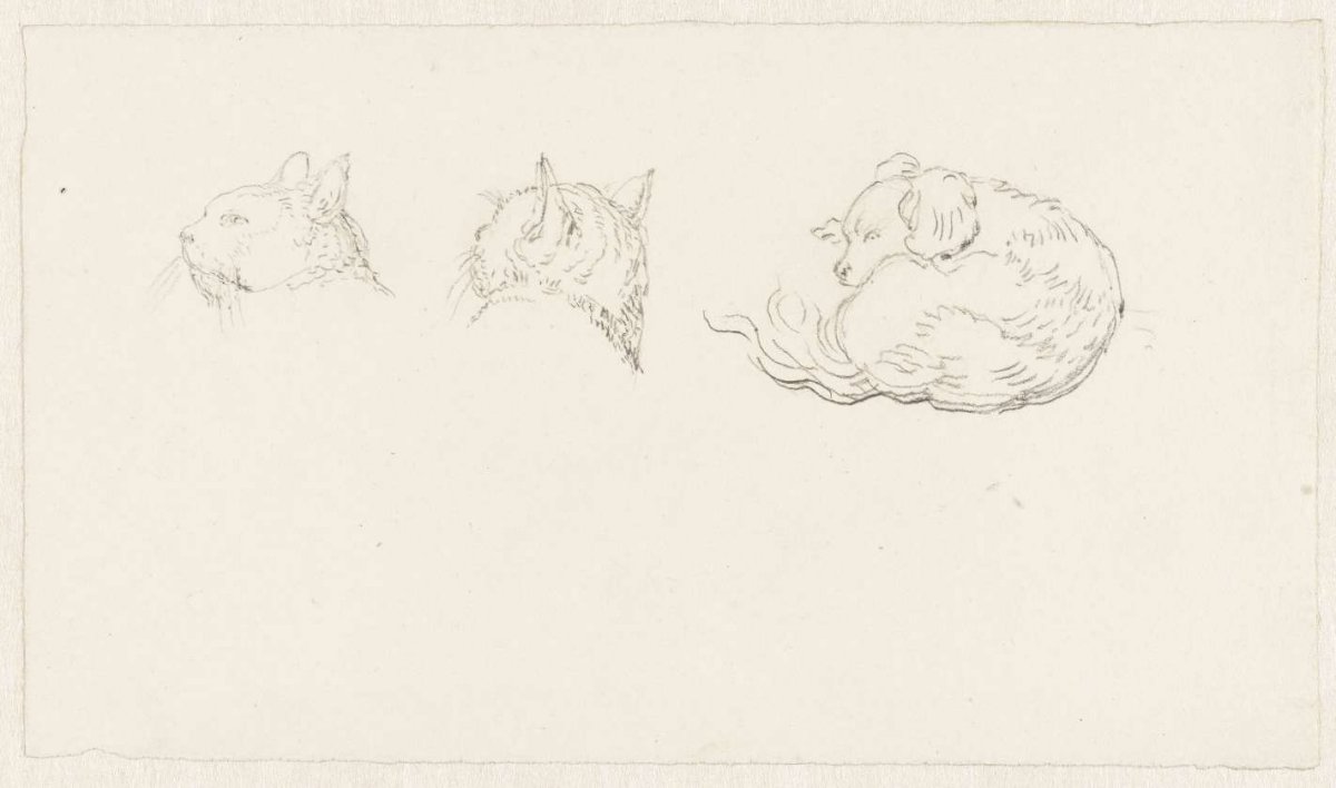 Two sketches of the head of a cat and a reclining dog, Pieter Bartholomeusz. Barbiers, 1782 - 1837