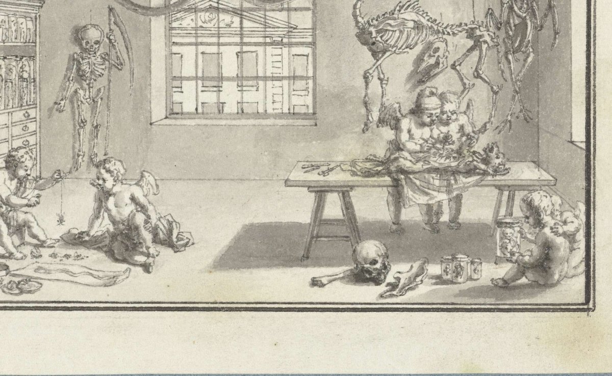 Anatomy and Natural History, Bernard Picart, 1683 - 1733