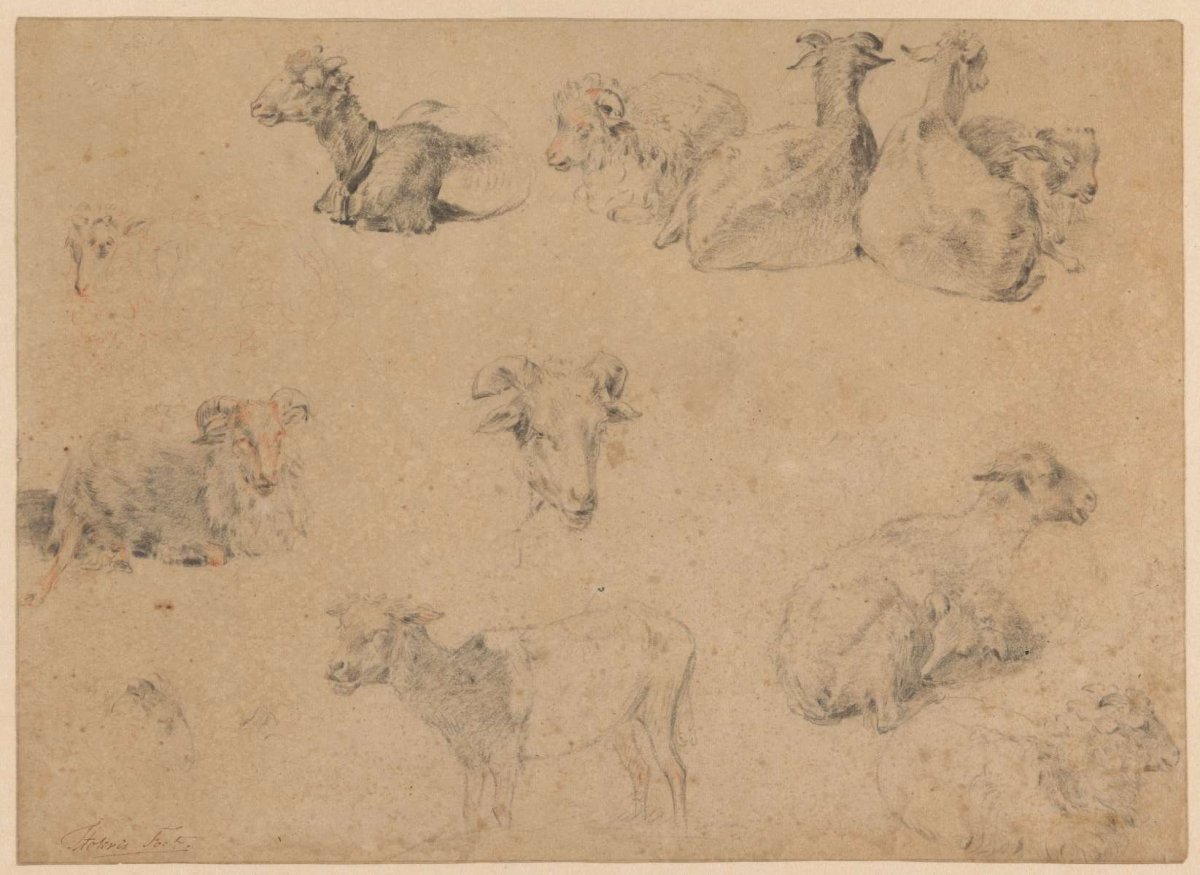 Study sheet with goats and sheep, Hendrik Stokvisch, 1778 - 1820