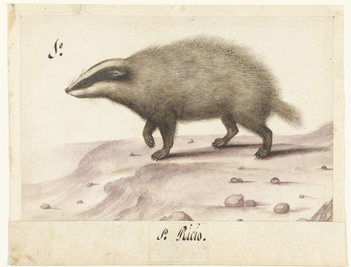 Das, anonymous, 1560 - 1585