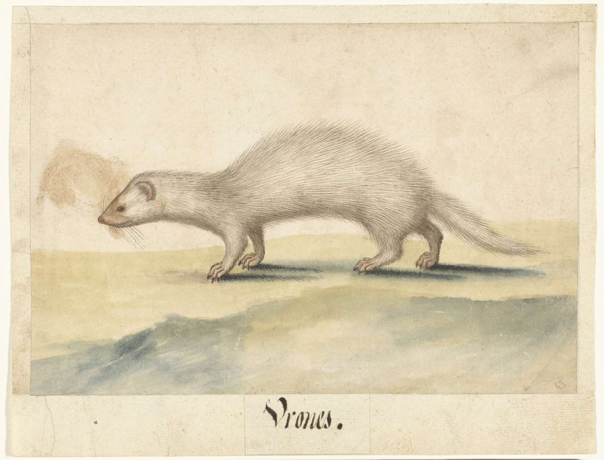 Fret, anonymous, 1560 - 1585