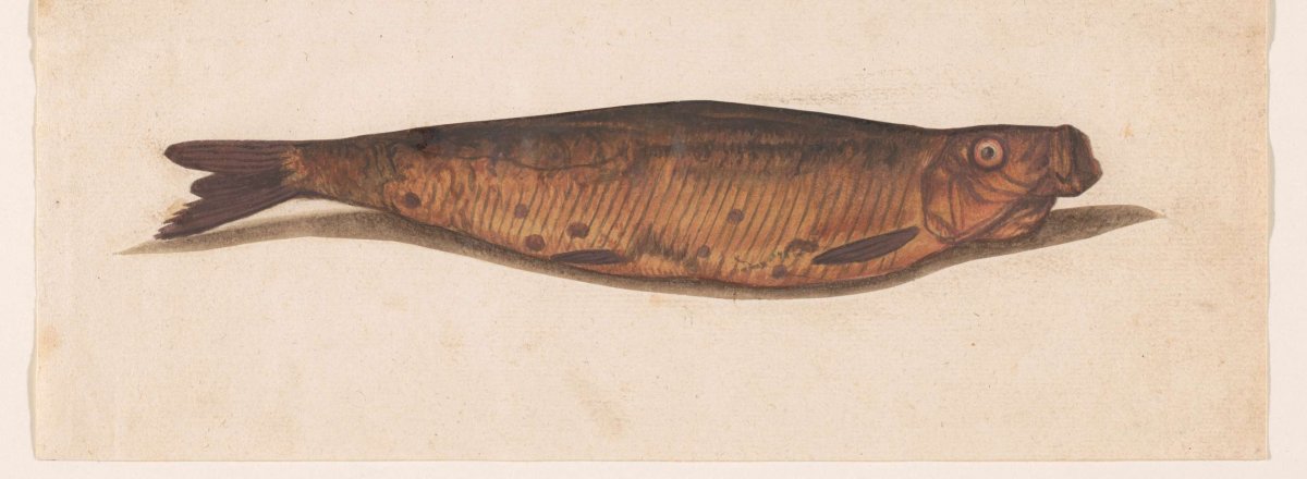 Bokking, anonymous, 1560 - 1585