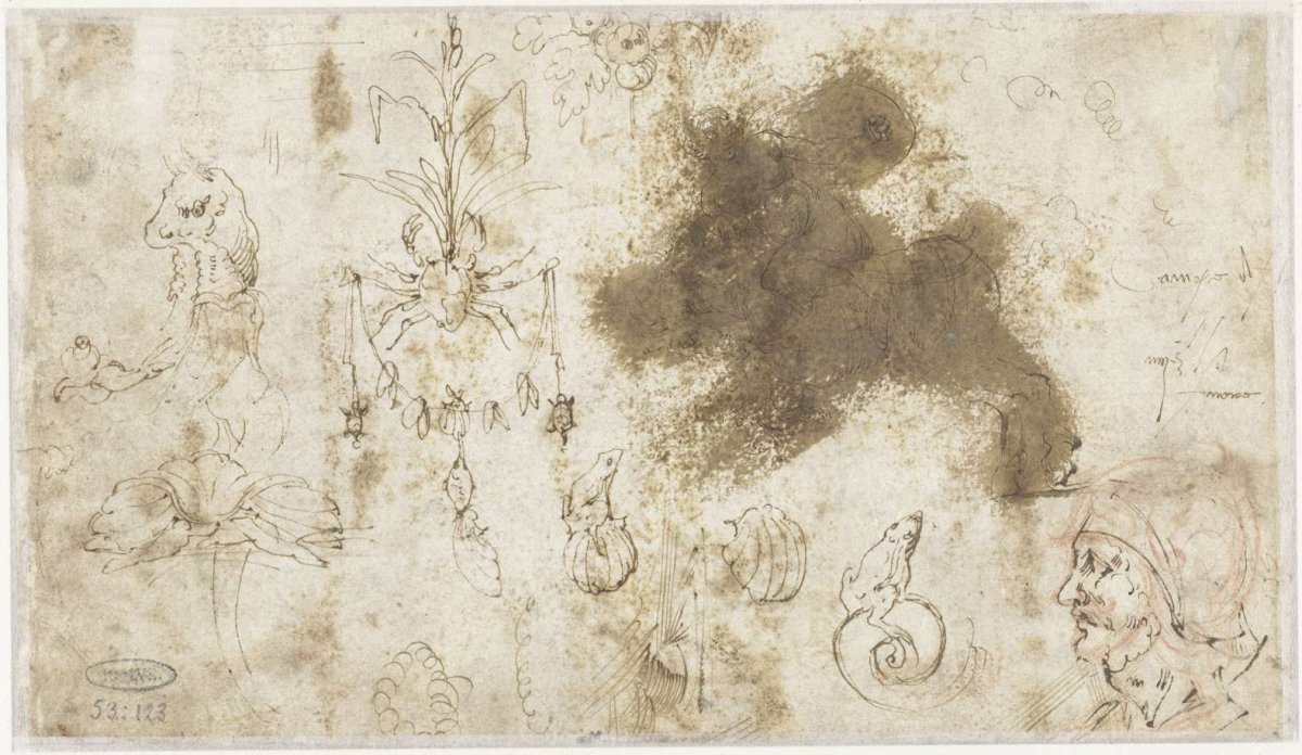Ornaments, a man's head and animals, anonymous, 1500 - 1600