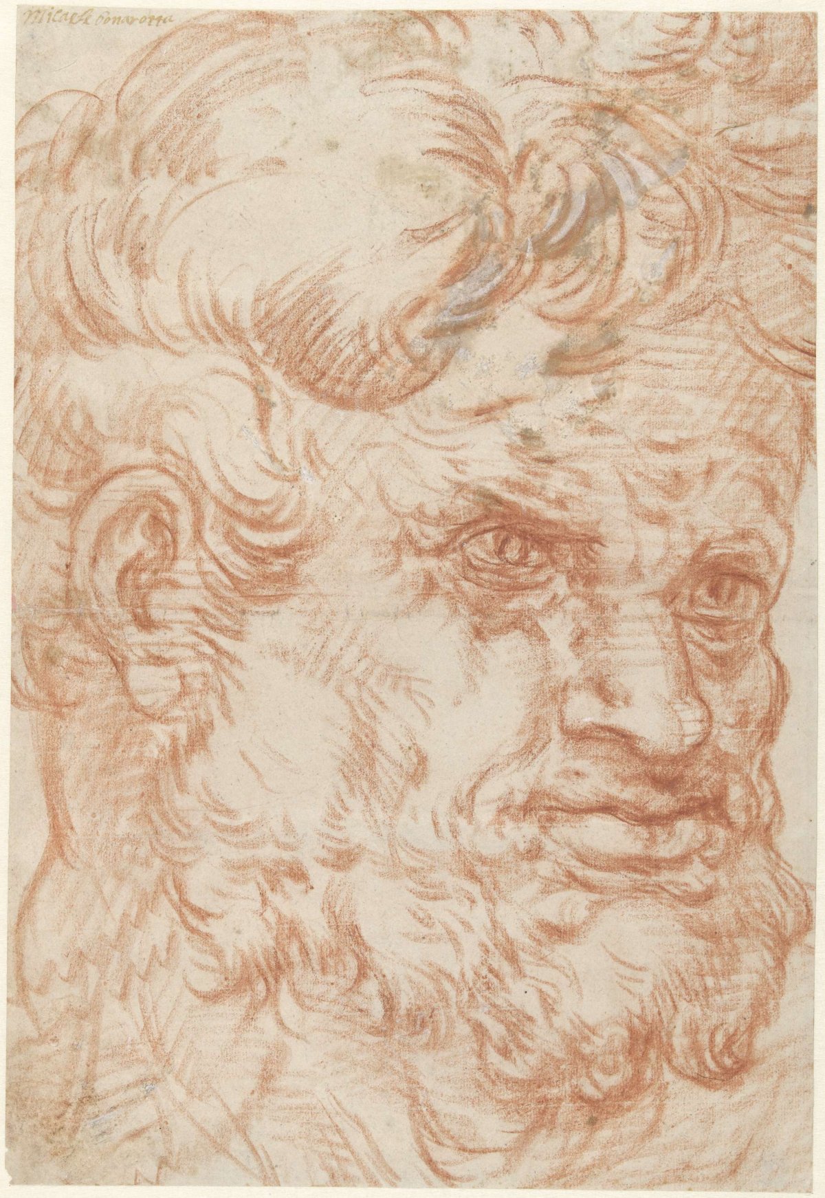 Head of a satyr-like man with luxuriant hair and beard growth, half to the right, anonymous, 1550 - 1600