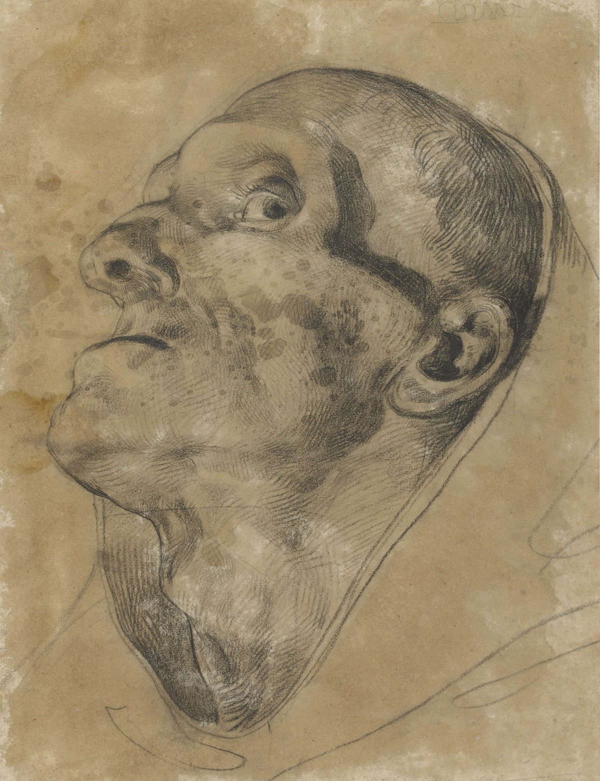 Head of a looking man, with downward gaze, Théodore Géricault, 1801 - 1824