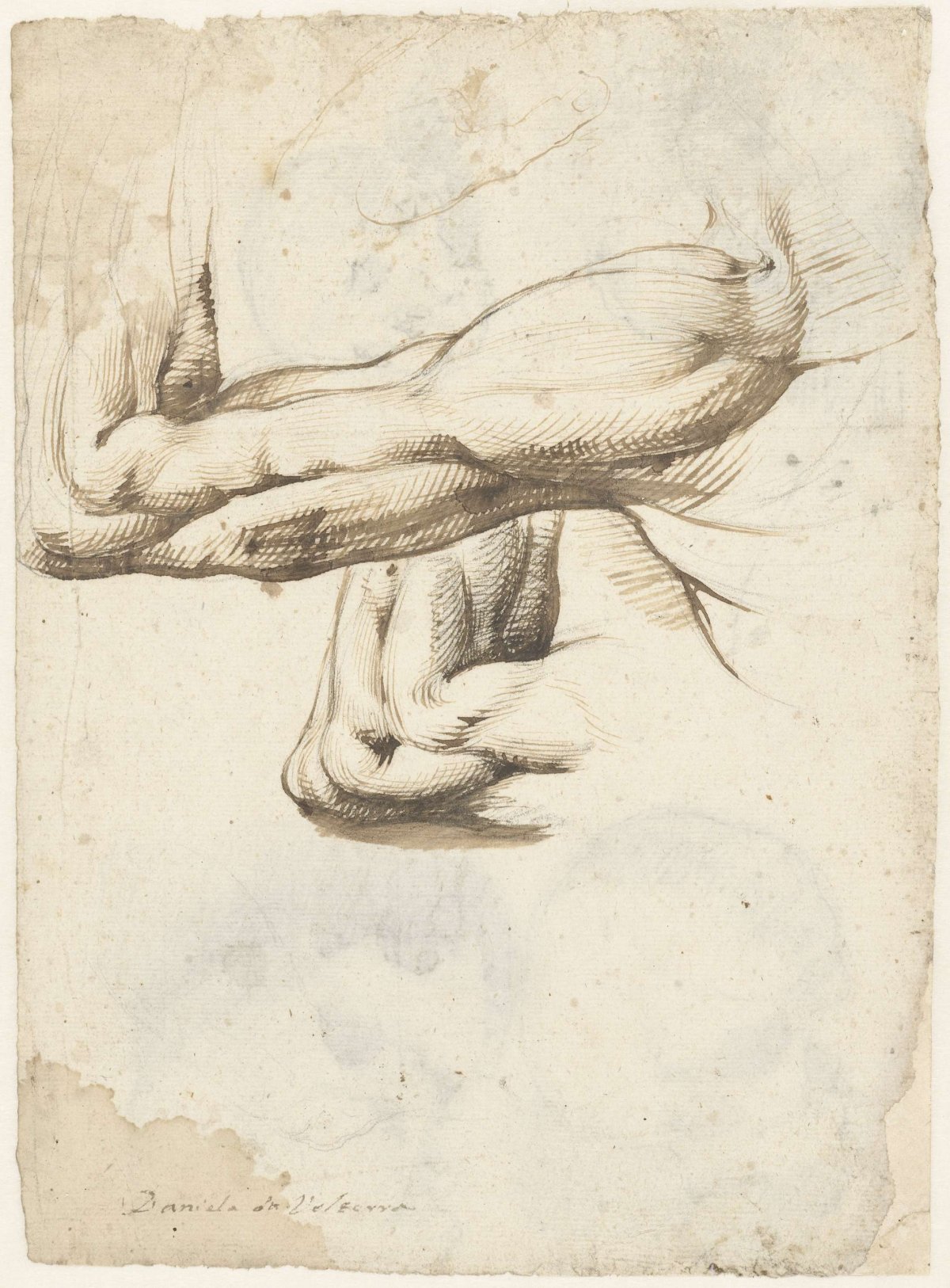 Two arms and one hand, Daniele da Volterra, 1519 - 1566