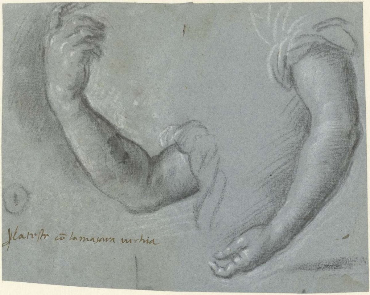 Two arms of a woman, Paris Bordone, 1510 - 1571