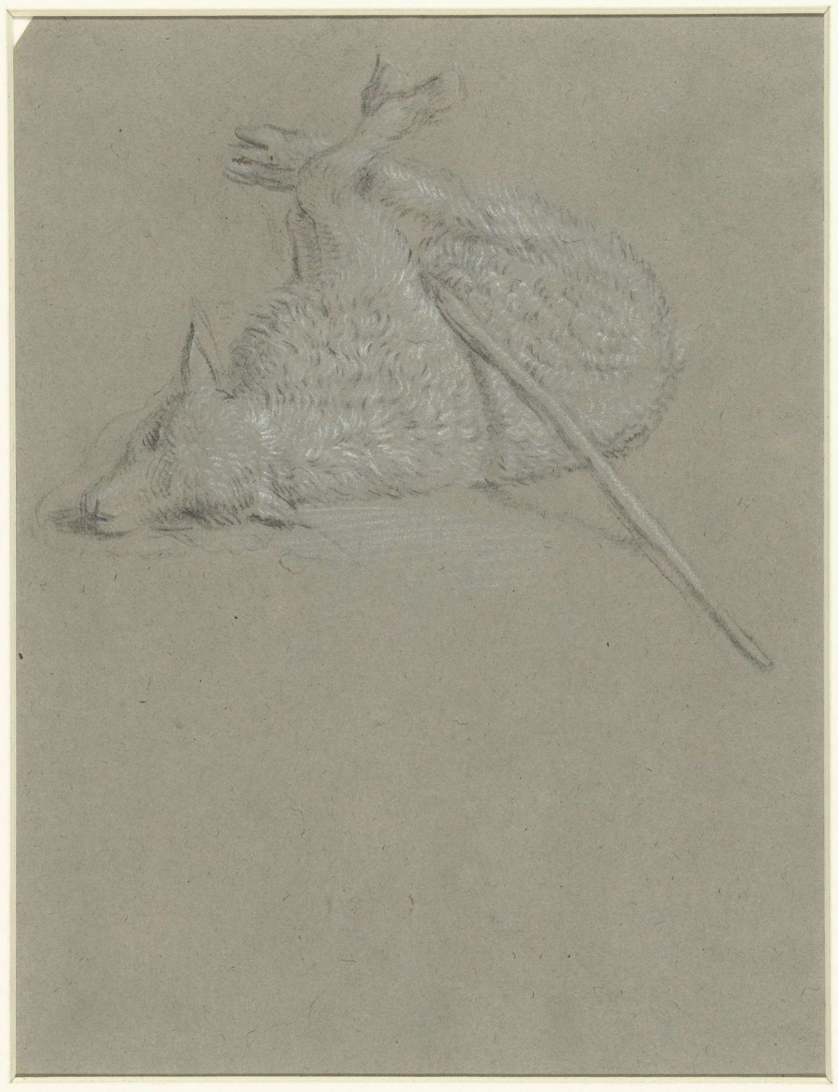 Liggend gebonden lam, anonymous, 1610 - 1630
