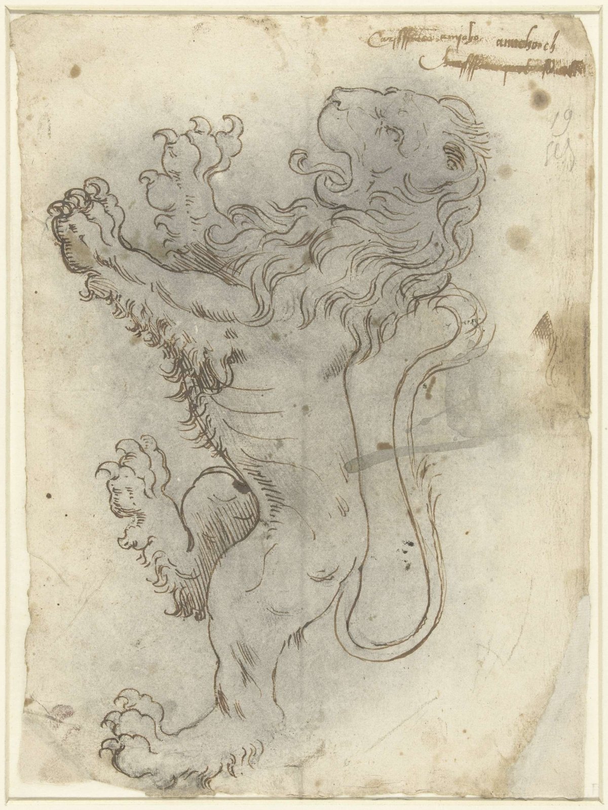 Klimmende leeuw, anonymous, 1550 - 1599