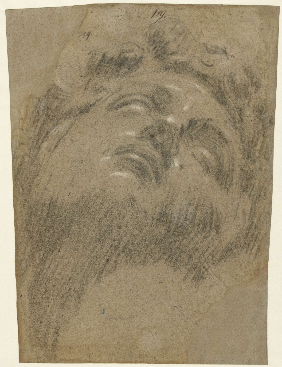 Hoofd van Giuliano dei Medici, Jacopo Tintoretto, 1528 - 1594