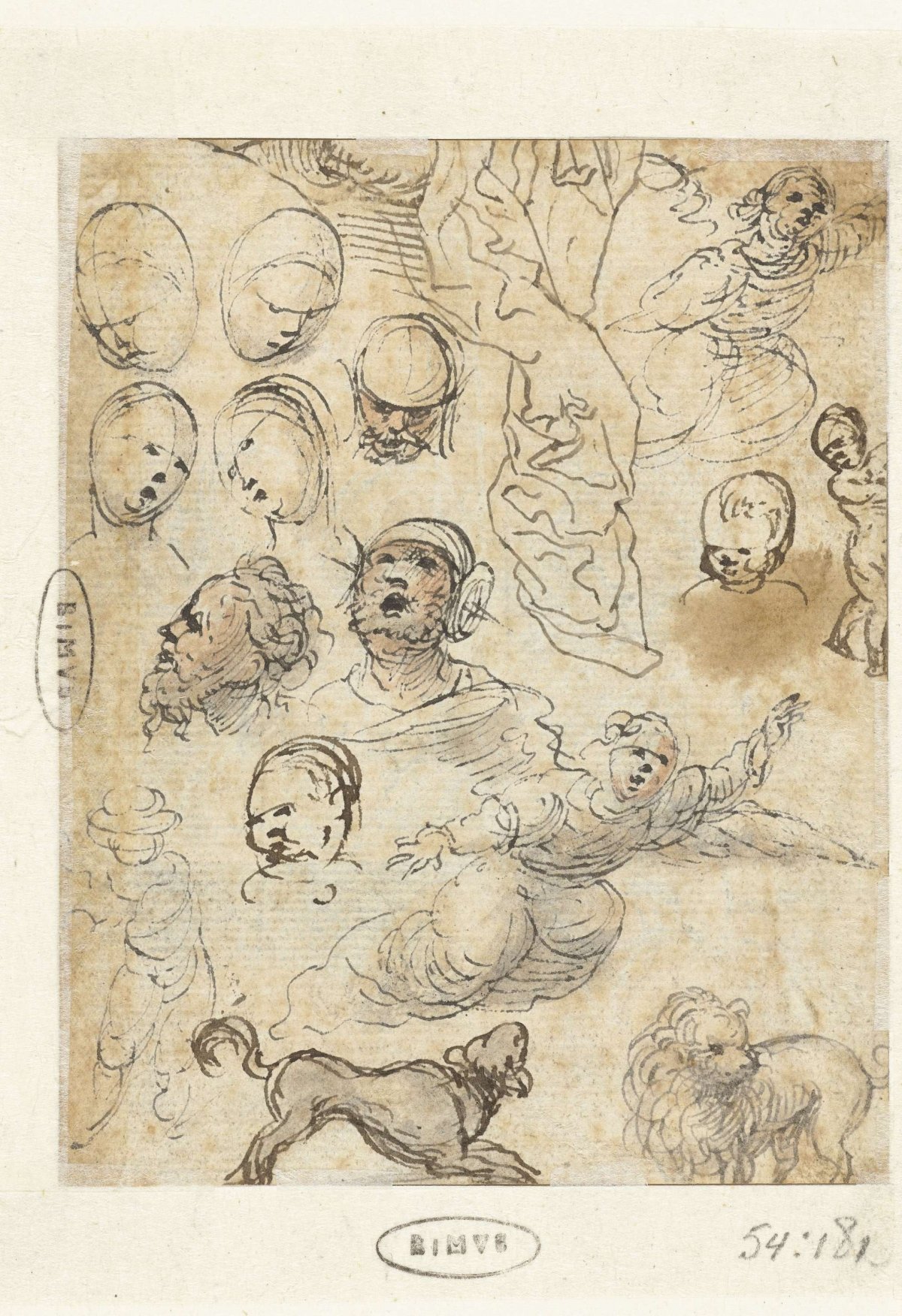 Studies of floating angels, dogs and heads of men and women, anonymous, 1500 - 1510