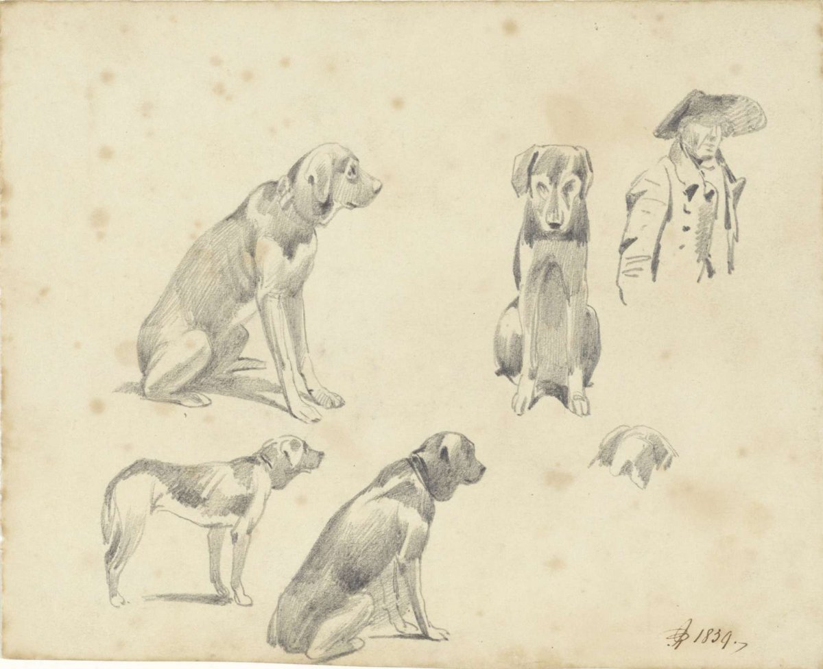 Studies of a dog, Pieter van Loon, 1839